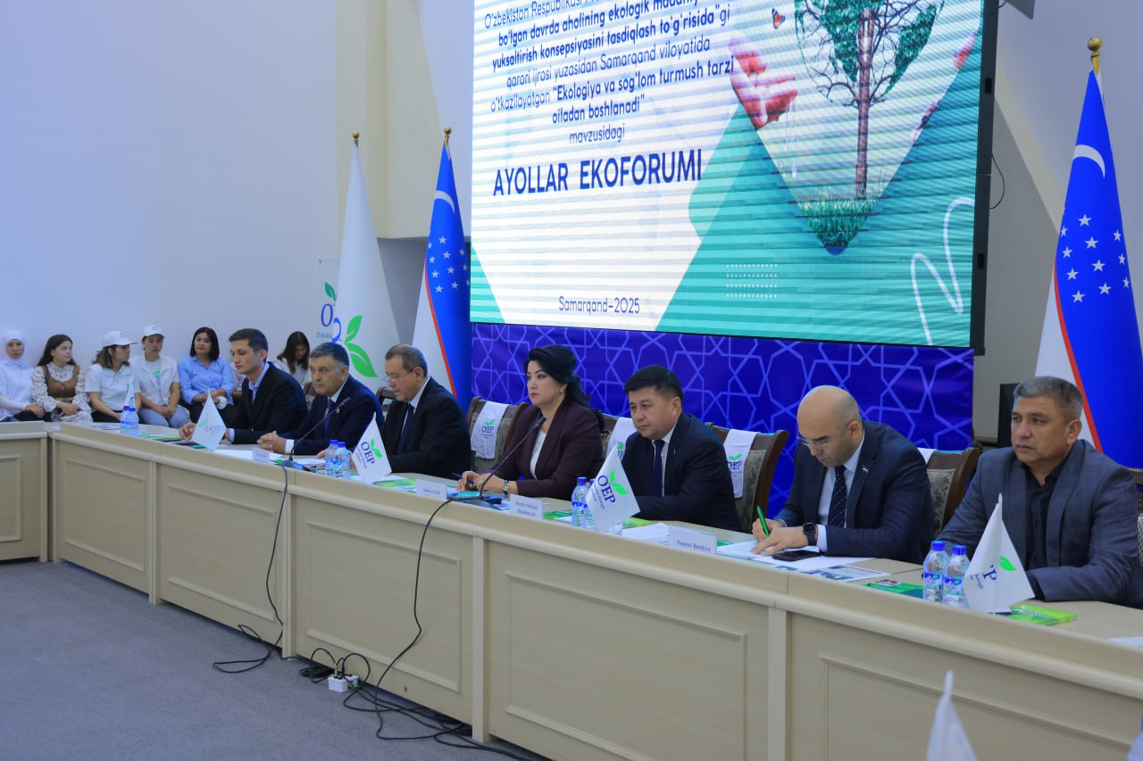 01K5GVB3QMKV413EJKZRYJSNEH