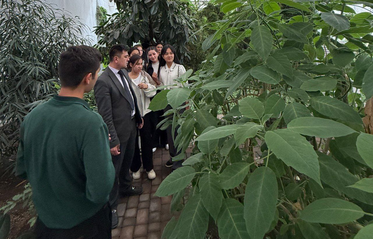 01K764Z54XZTKDD7168AHD41KT